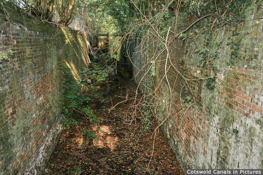 Dudgrove Double Lock